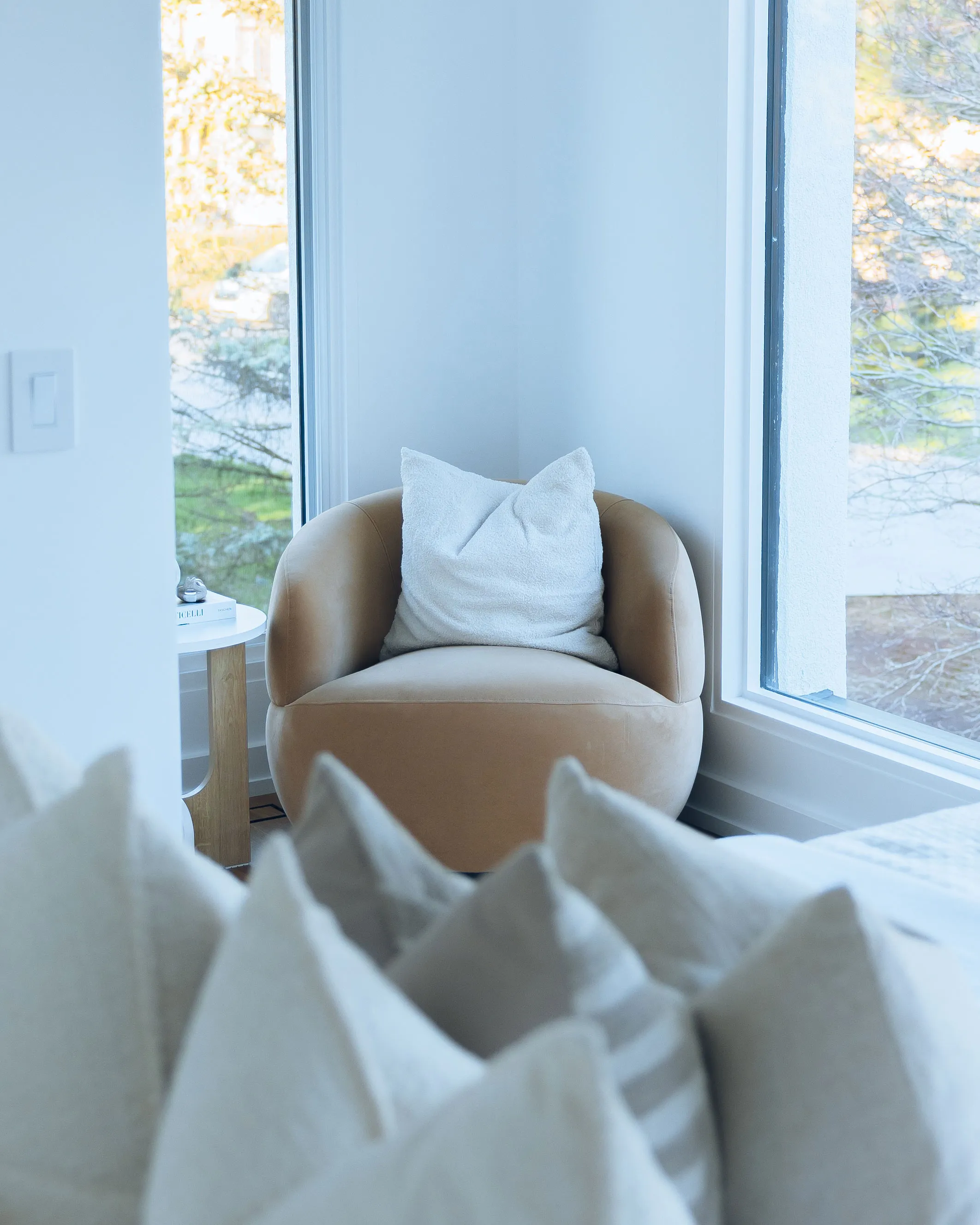 Project | Dovetail Developments | 